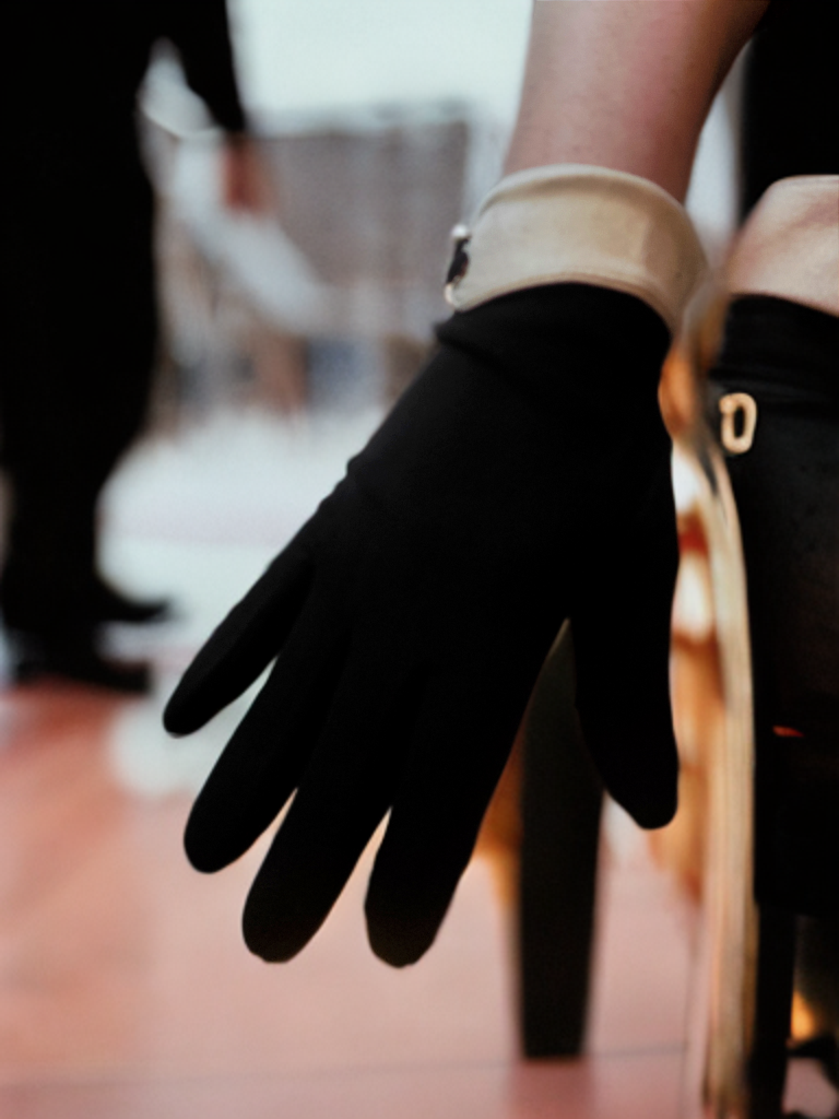 Ladies Fashion Gloves